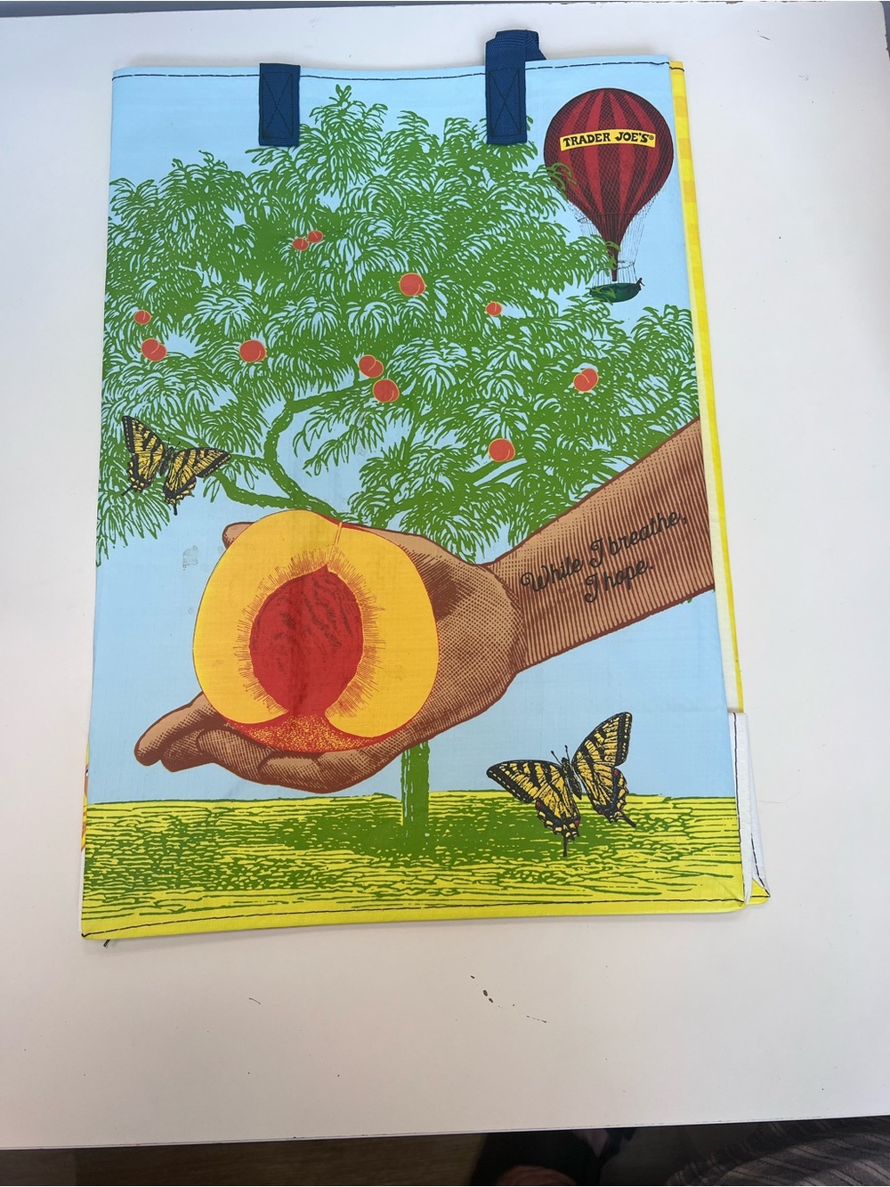 Trader Joe's Blue Peach Tree Tote Bag